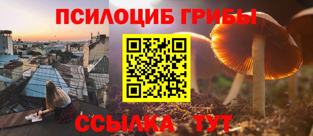 Галлюциногенные грибы Psilocybine cubensis  Вход с VPN  Клинцы 