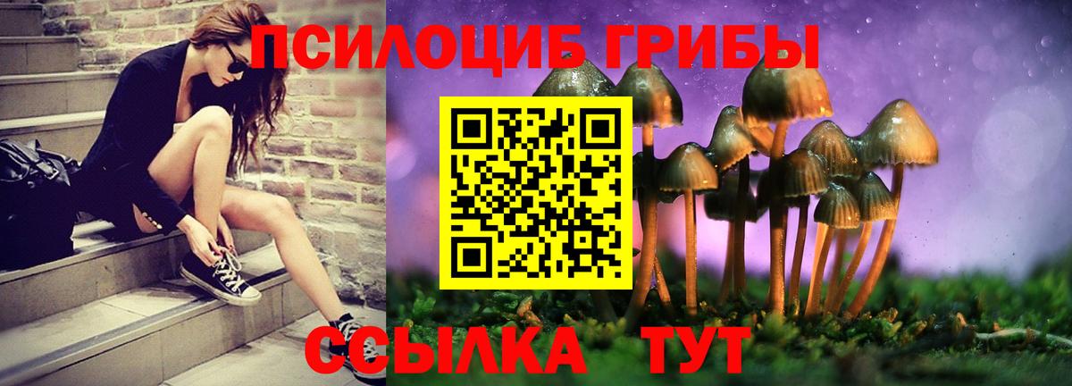 Псилоцибиновые грибы Cubensis Клинцы
